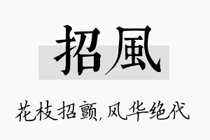 招风名字的寓意及含义