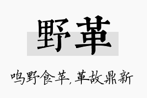 野革名字的寓意及含义