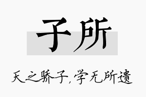 子所名字的寓意及含义