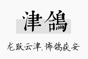 津鸽名字的寓意及含义