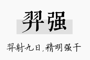 羿强名字的寓意及含义