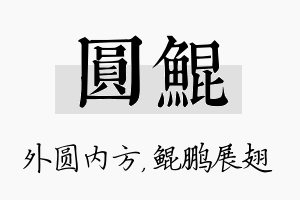 圆鲲名字的寓意及含义