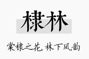 棣林名字的寓意及含义