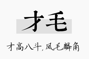 才毛名字的寓意及含义