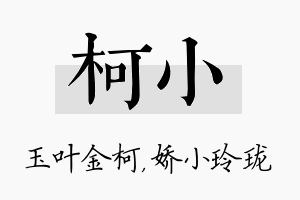 柯小名字的寓意及含义