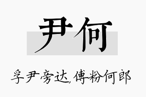 尹何名字的寓意及含义