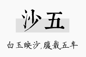 沙五名字的寓意及含义