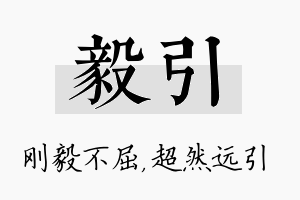 毅引名字的寓意及含义