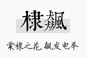 棣飙名字的寓意及含义