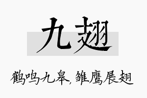 九翅名字的寓意及含义