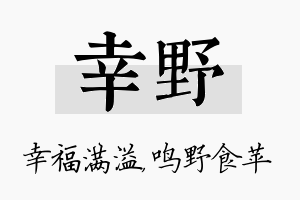 幸野名字的寓意及含义