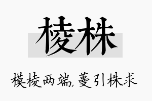 棱株名字的寓意及含义