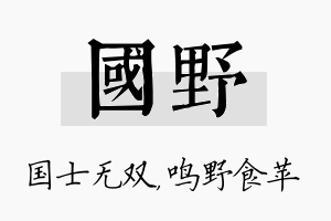 国野名字的寓意及含义