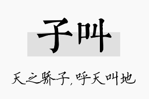 子叫名字的寓意及含义