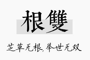 根双名字的寓意及含义