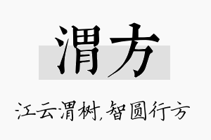 渭方名字的寓意及含义