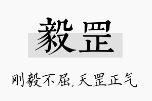 毅罡名字的寓意及含义