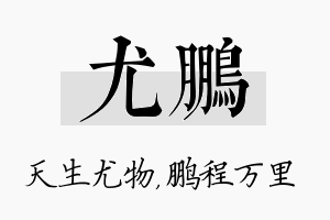 尤鹏名字的寓意及含义