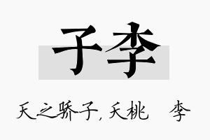 子李名字的寓意及含义