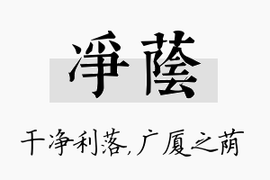 净荫名字的寓意及含义