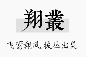 翔丛名字的寓意及含义