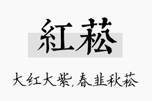 红菘名字的寓意及含义