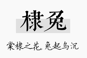 棣兔名字的寓意及含义