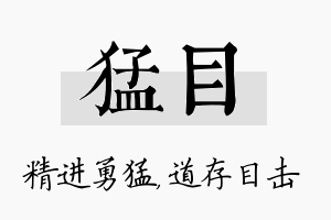 猛目名字的寓意及含义