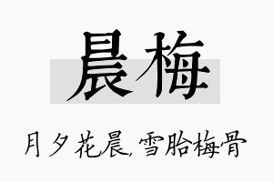 晨梅名字的寓意及含义