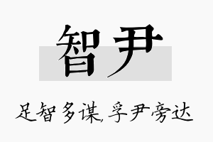 智尹名字的寓意及含义