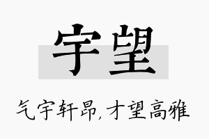 宇望名字的寓意及含义