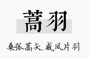 蒿羽名字的寓意及含义