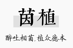 茵植名字的寓意及含义