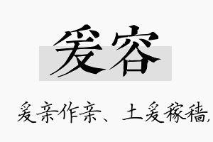 爰容名字的寓意及含义