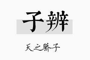 子辨名字的寓意及含义