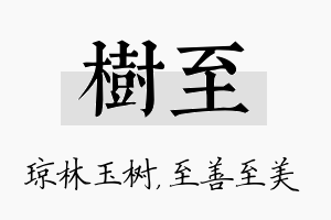 树至名字的寓意及含义