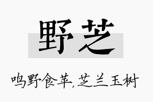 野芝名字的寓意及含义