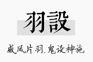 羽设名字的寓意及含义