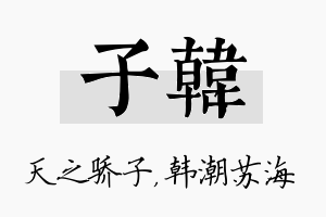 子韩名字的寓意及含义