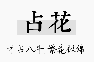 占花名字的寓意及含义