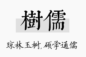 树儒名字的寓意及含义