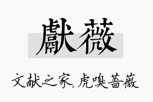 献薇名字的寓意及含义