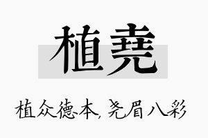 植尧名字的寓意及含义