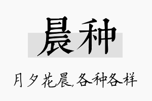 晨种名字的寓意及含义