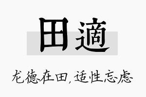 田适名字的寓意及含义