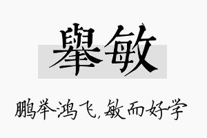 举敏名字的寓意及含义