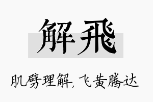 解飞名字的寓意及含义