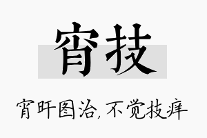 宵技名字的寓意及含义