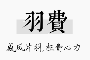 羽费名字的寓意及含义