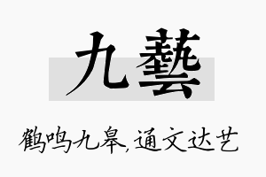 九艺名字的寓意及含义